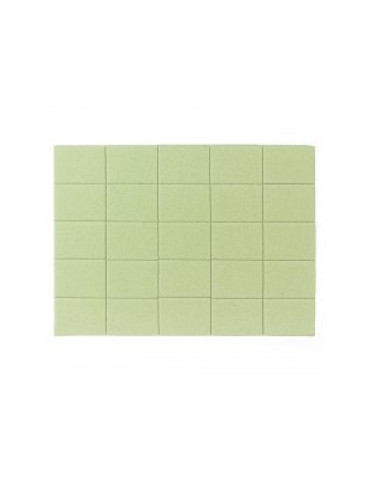 Set manicure mini-baff, color: green (50 pcs., abrasive: 120/120) Kodi Professional