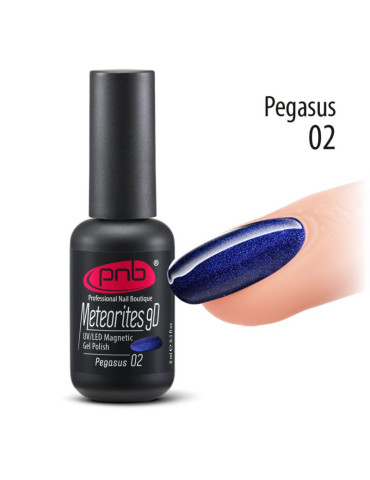 Magnetic gel polish 8 ml 002 (Pegasus) PNB